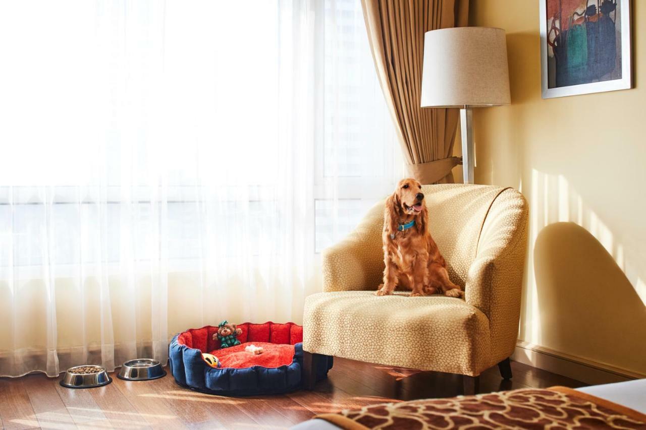 President - Ihcl Seleqtions Hotell Mumbai Eksteriør bilde A dog in a hotel room
